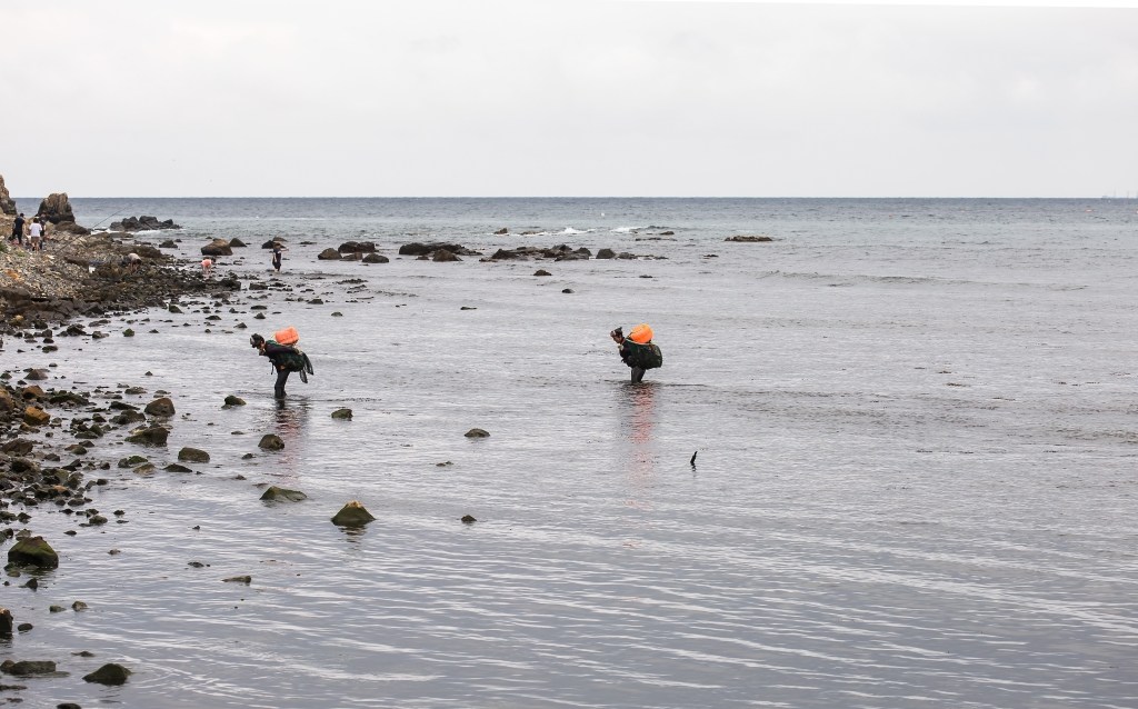 (Corée du sud) Jeju accueille une exposition célébrant les liens culturels entre la Corée et la&nbsp;France