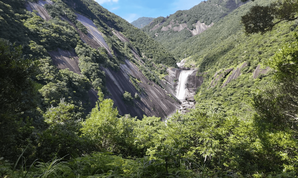 Sur les hauteurs de Yakushima,  la randonnée de Mocchomudake, entre forêts primaires et eau&nbsp;vive