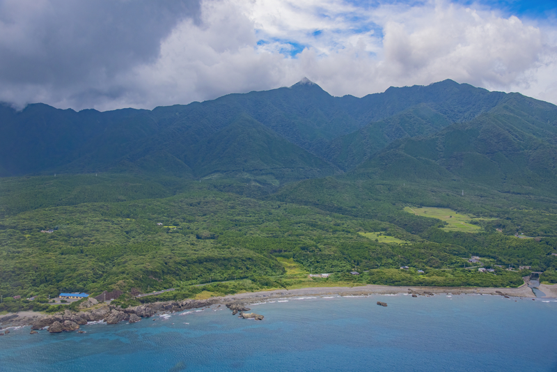 (Kyushu) Yakushima, l’île où la pluie façonne la&nbsp;vie