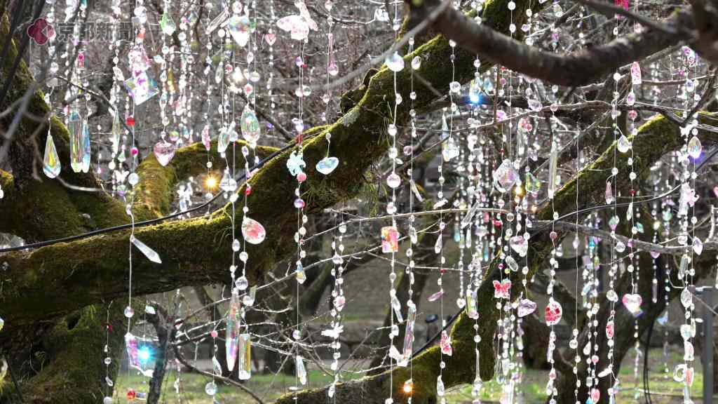 (Kyoto) Kitano Tenmangu, une installation artistique contemporaine exposée au cœur du jardin de&nbsp;pruniers