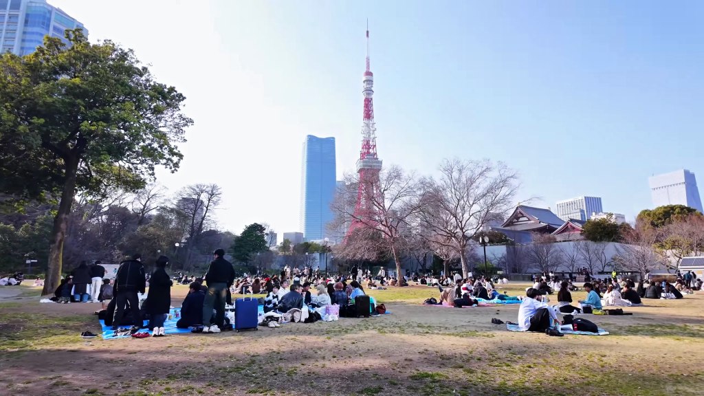 (Sakura 2026) Tokyo, Minato
