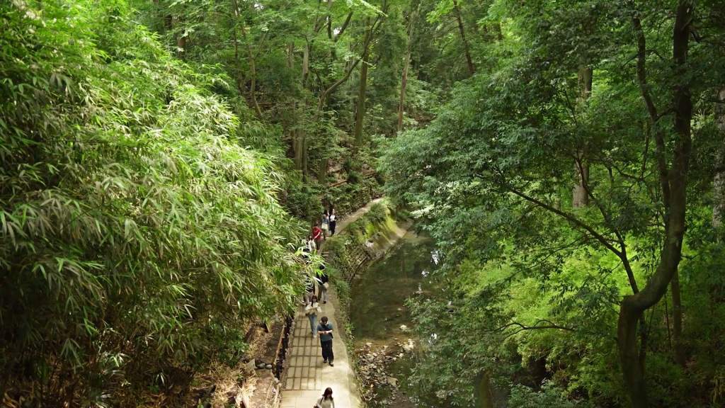 Todoroki Valley : la parenthèse verte qui fait oublier Tokyo
