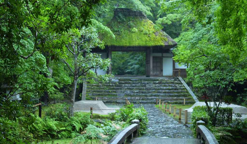 Honen-in, le temple discret de Kyoto qui se révèle sous la pluie.