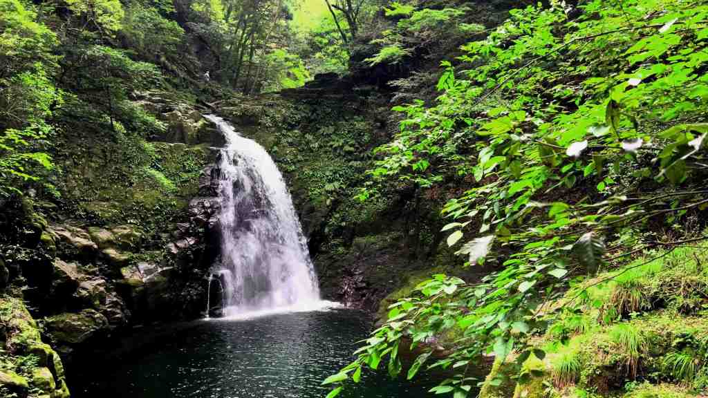 Akame, le royaume secret des 48 cascades : voyage au cœur de la nature sauvage du&nbsp;Japon
