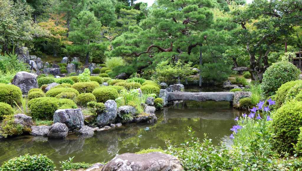 Toji-in : le jardin secret des shoguns Ashikaga au fil des&nbsp;saisons