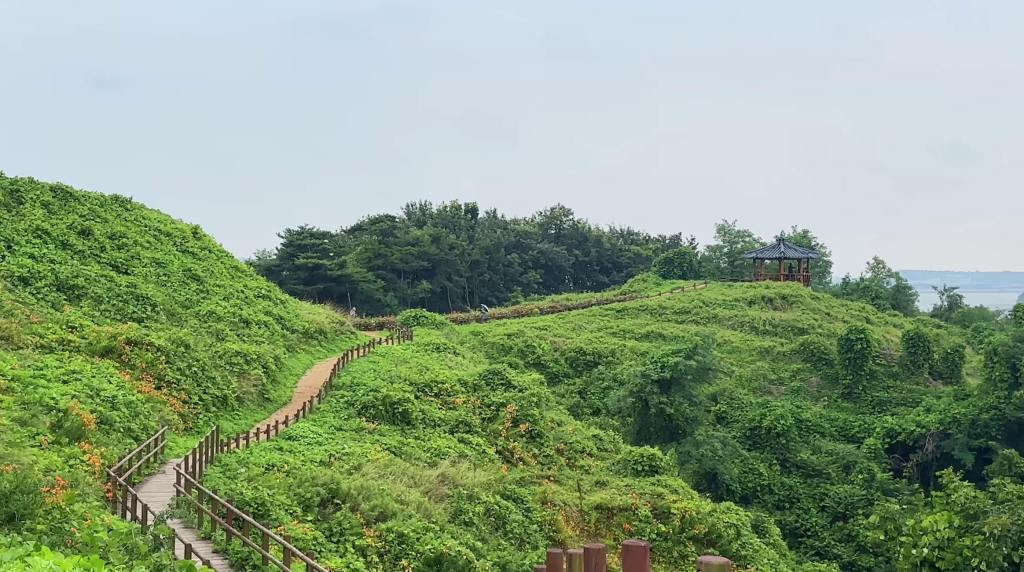 Yedanpo, le sentier découverte de Yeongjongdo entre mer, vasières et forêt