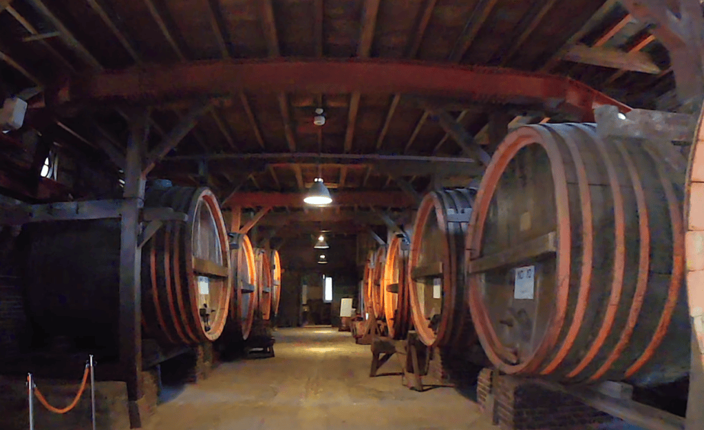 Ushiku veut faire du vin un nouveau fleuron de l’est du Japon