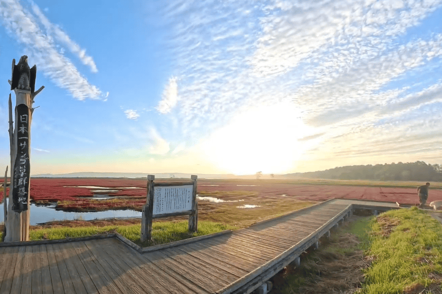 Lac Notoro : le spectaculaire tapis rouge de l’automne à Hokkaidō