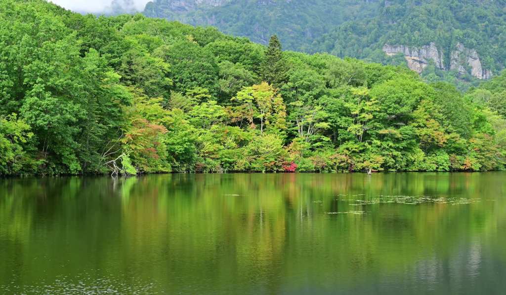 Kagami-ike, le miroir de l’automne se pare de ses premières couleurs